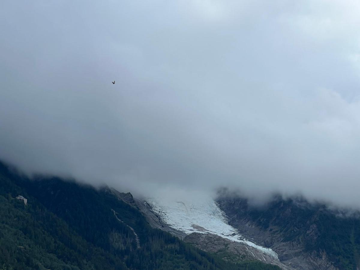 Apartment Mont Blanc 25, Vue Mont Blanc, Balcon, Parking Chamonix
