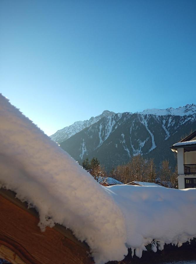 Le Jardin De Talefre Chalet Chamonix