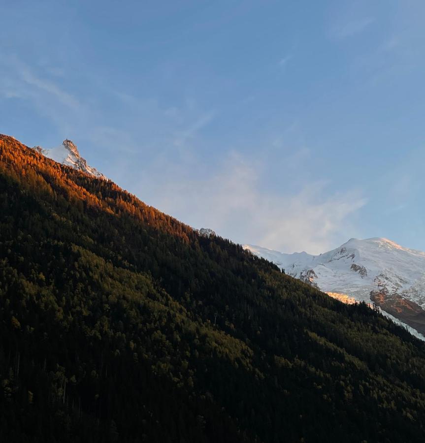Center & Unique Mountain View Apartment Chamonix