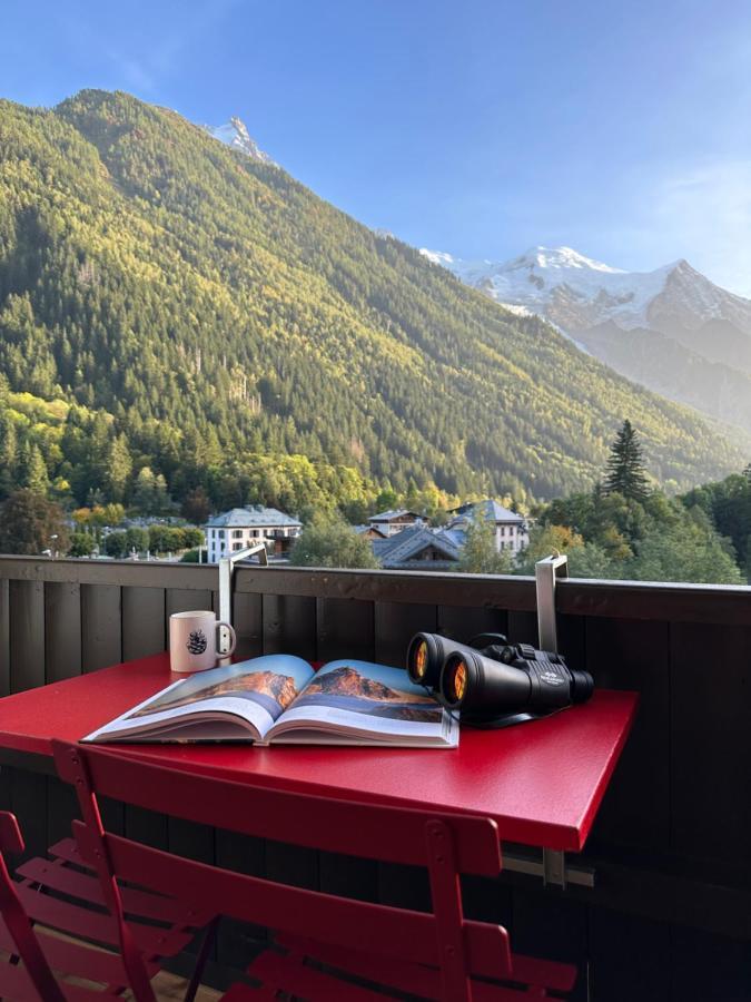 Center & Unique Mountain View Apartment Chamonix