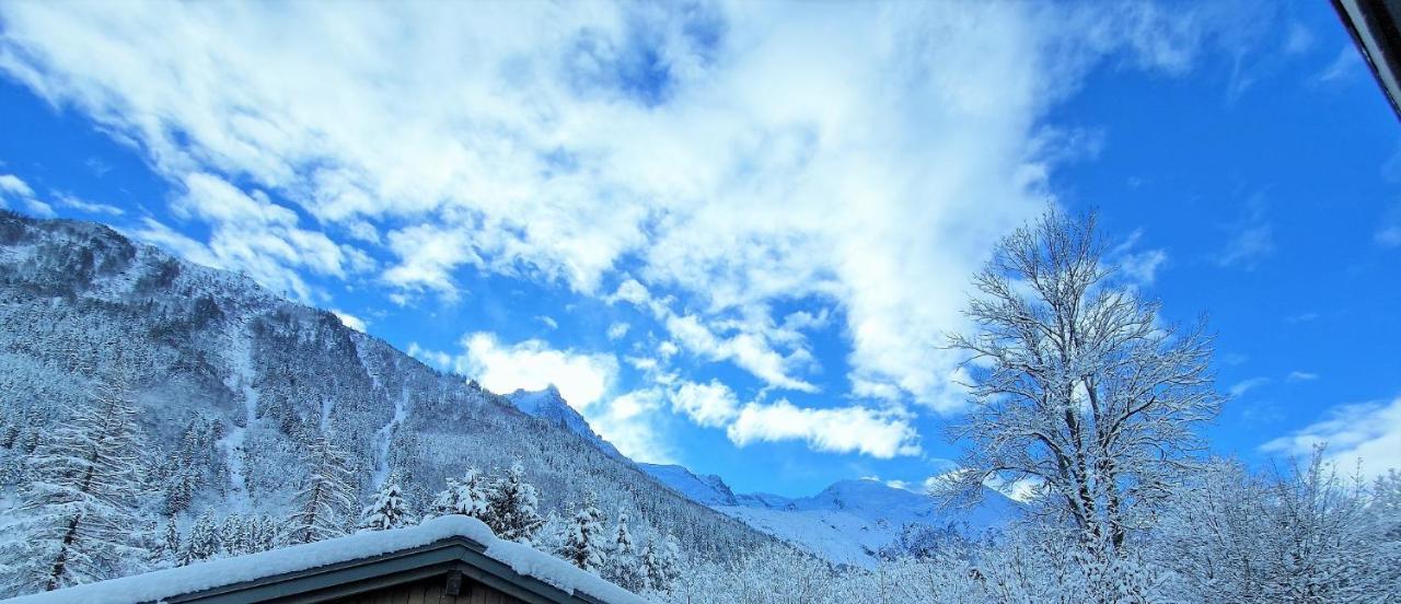 White Pearl Vue Mont Blanc *