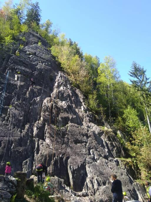 L'ilet Ensoleille /sunny Island Chalet Chamonix