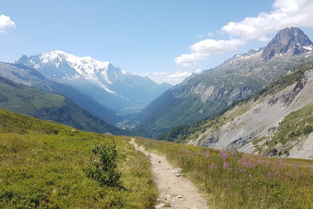 Chalet L'ilet Ensoleille /sunny Island Chamonix