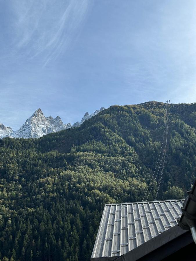 Cocon Au Coeur De Avec Parking Gratuit Apartment Chamonix