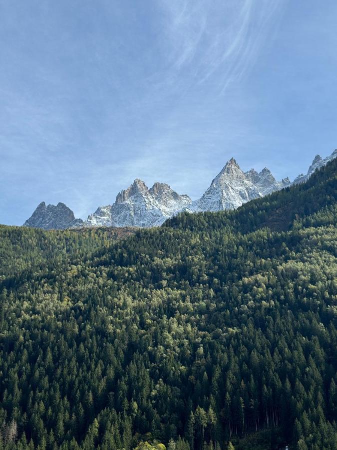 Cocon Au Coeur De Avec Parking Gratuit * Chamonix