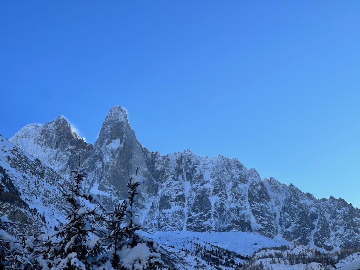 Chalet Asa 426 M2 Chamonix