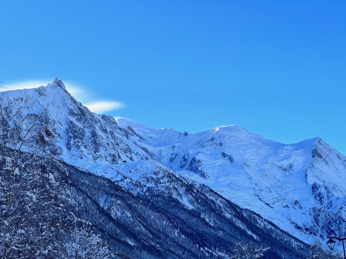 Chalet Asa 426 M2 Chamonix
