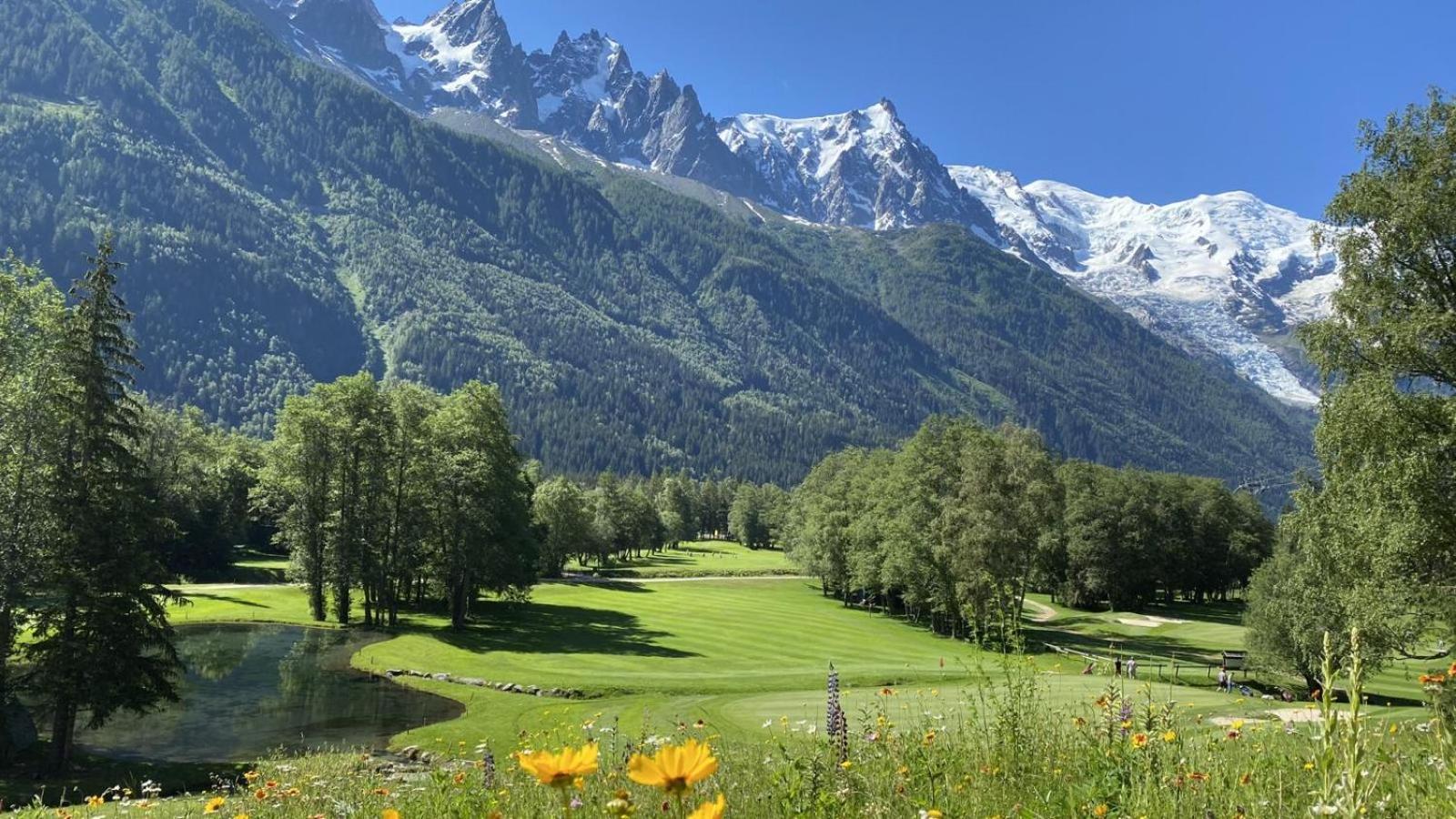 Evasion Serenite A Mont-blanc Apartment Chamonix
