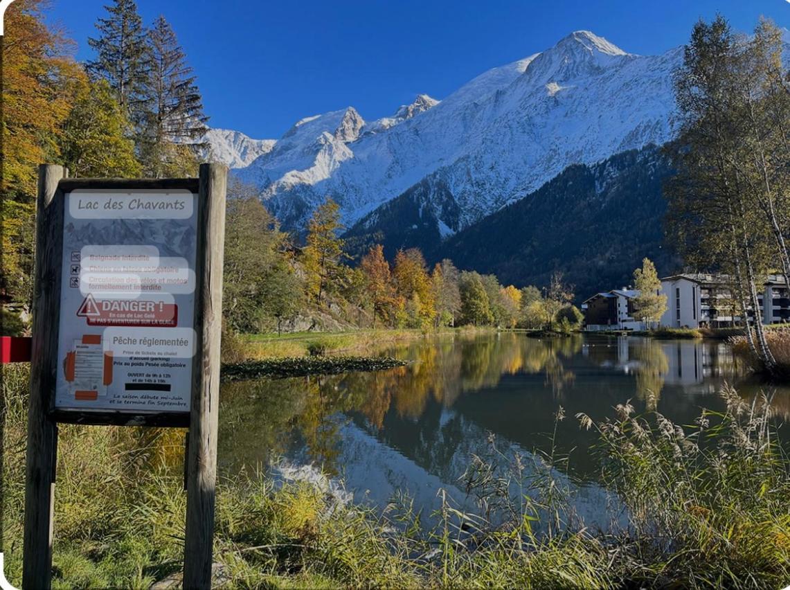 Andro Apartment Chamonix