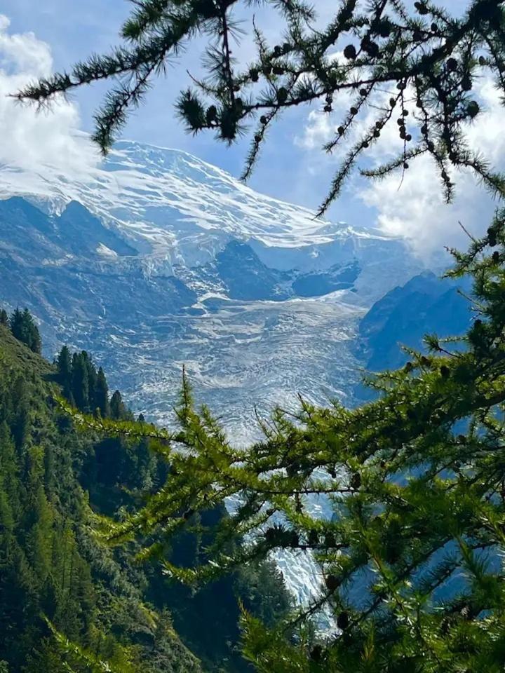 Apartment Centre Grande Terrasse Mont Blanc Chamonix