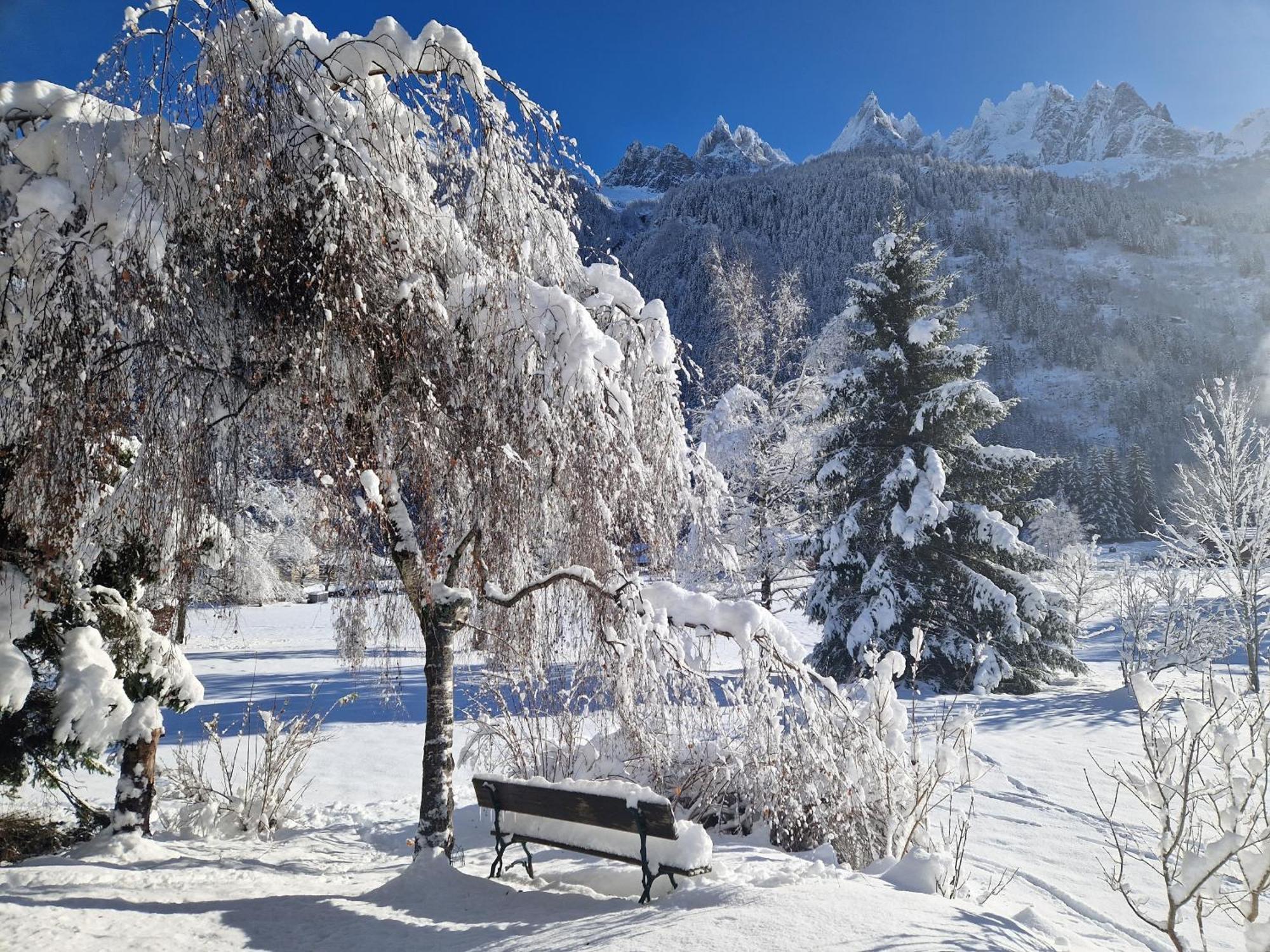 Apartment Les Tussilages - Terrasse Vue Mont-blanc Chamonix