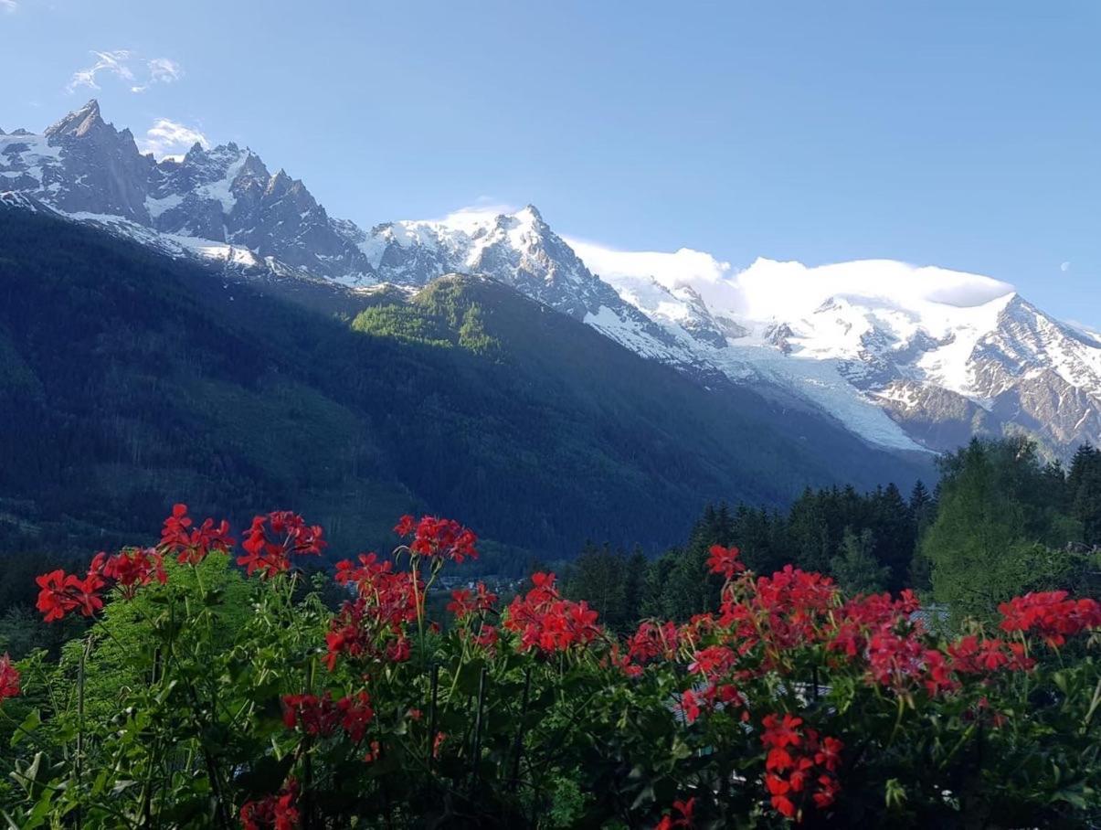 Edelweiss Yoga Chalet * Chamonix