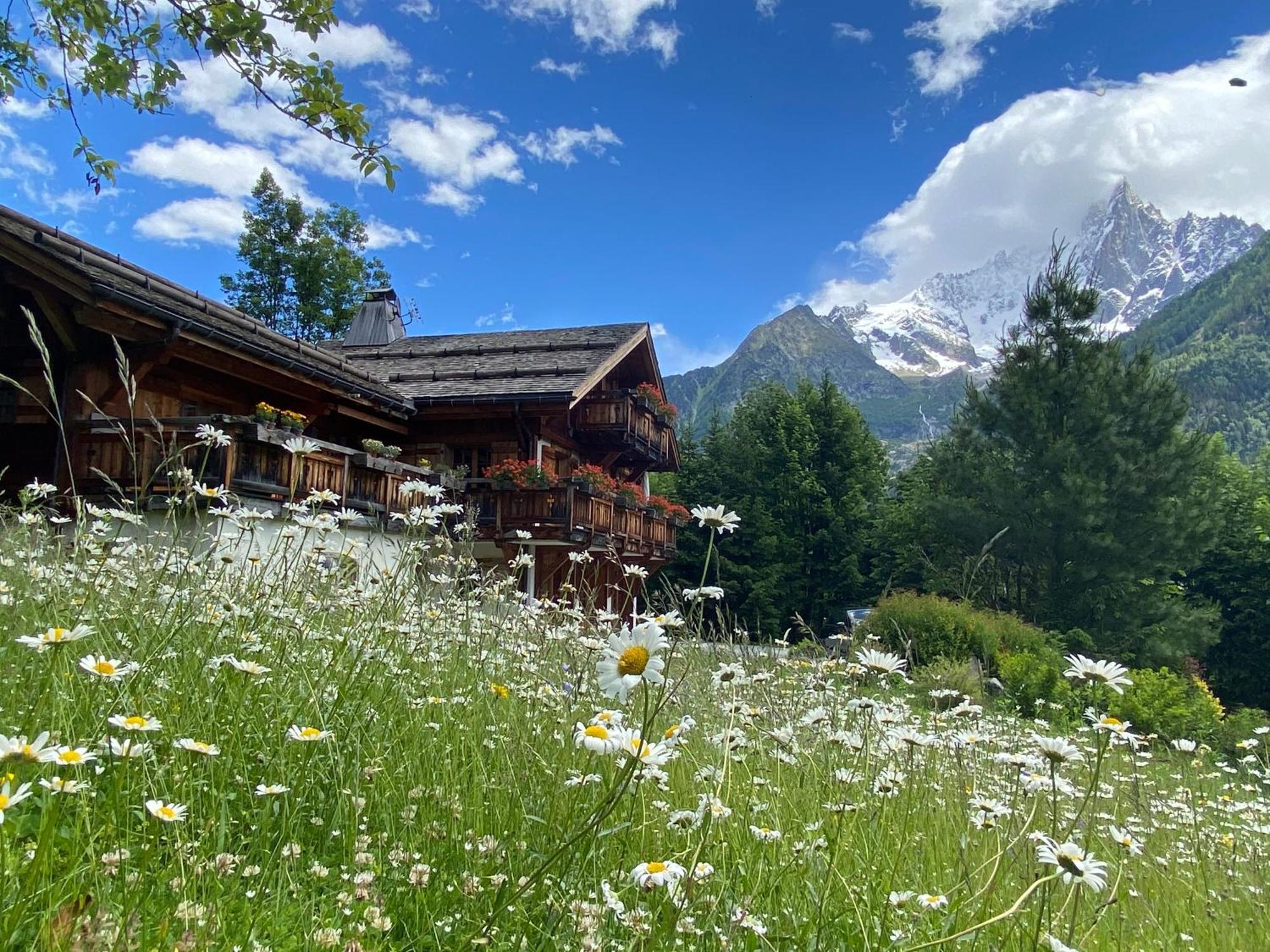 Edelweiss Yoga Chalet *
