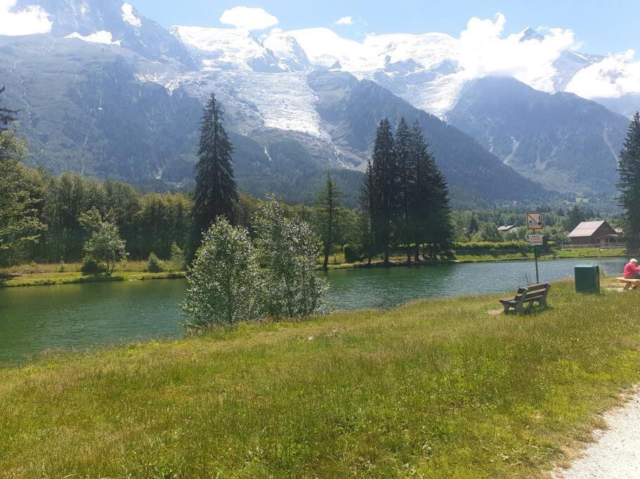 Garden Flat With A View Of Mont-blanc - Reference Xepkmm Apartment