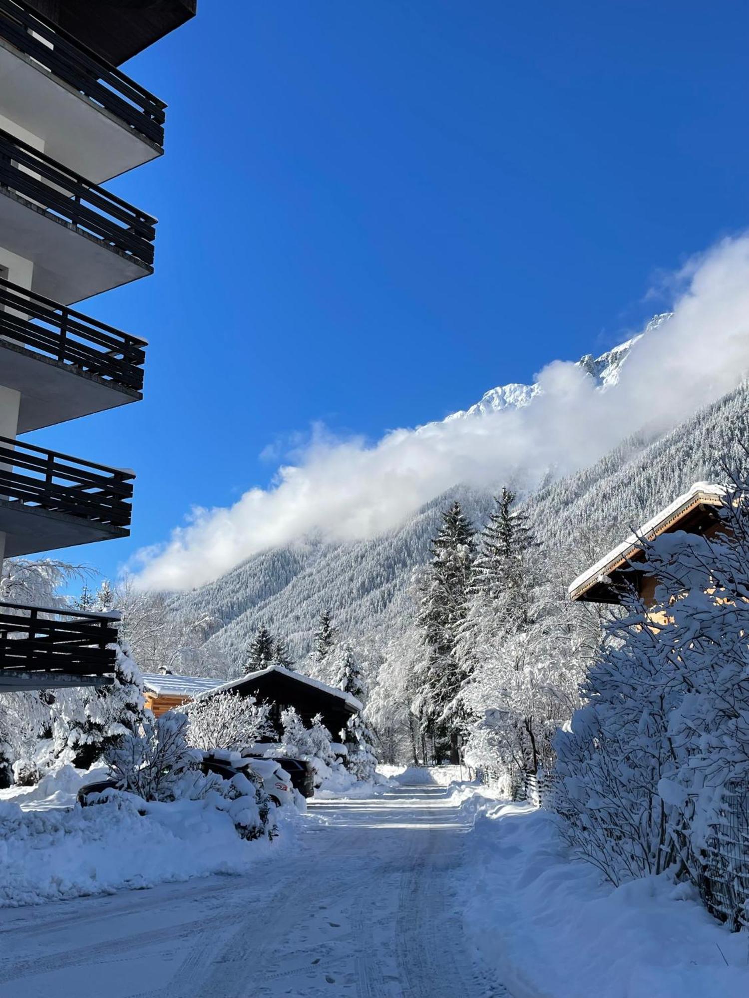 Bois Du Bouchet, Vue Montagne, Calme, Parking Gratuit, Proche Centre * Chamonix