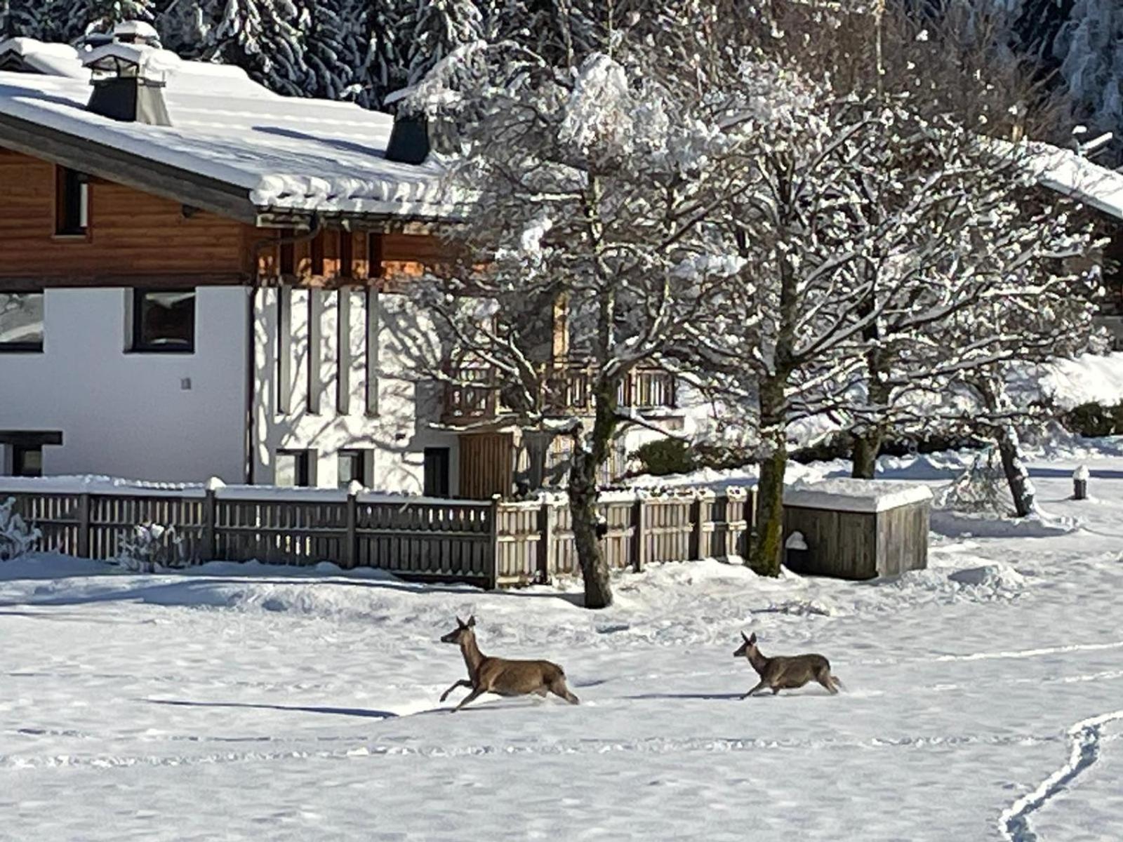 Bois Du Bouchet, Vue Montagne, Calme, Parking Gratuit, Proche Centre Apartment