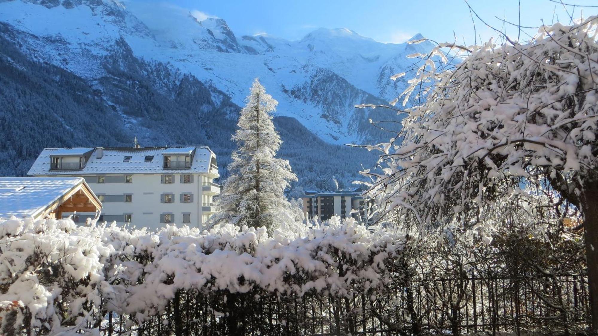 Les Alpins - Centre De - Renove Avec Jardin Et Vue Imprenable Sur Le Montblanc