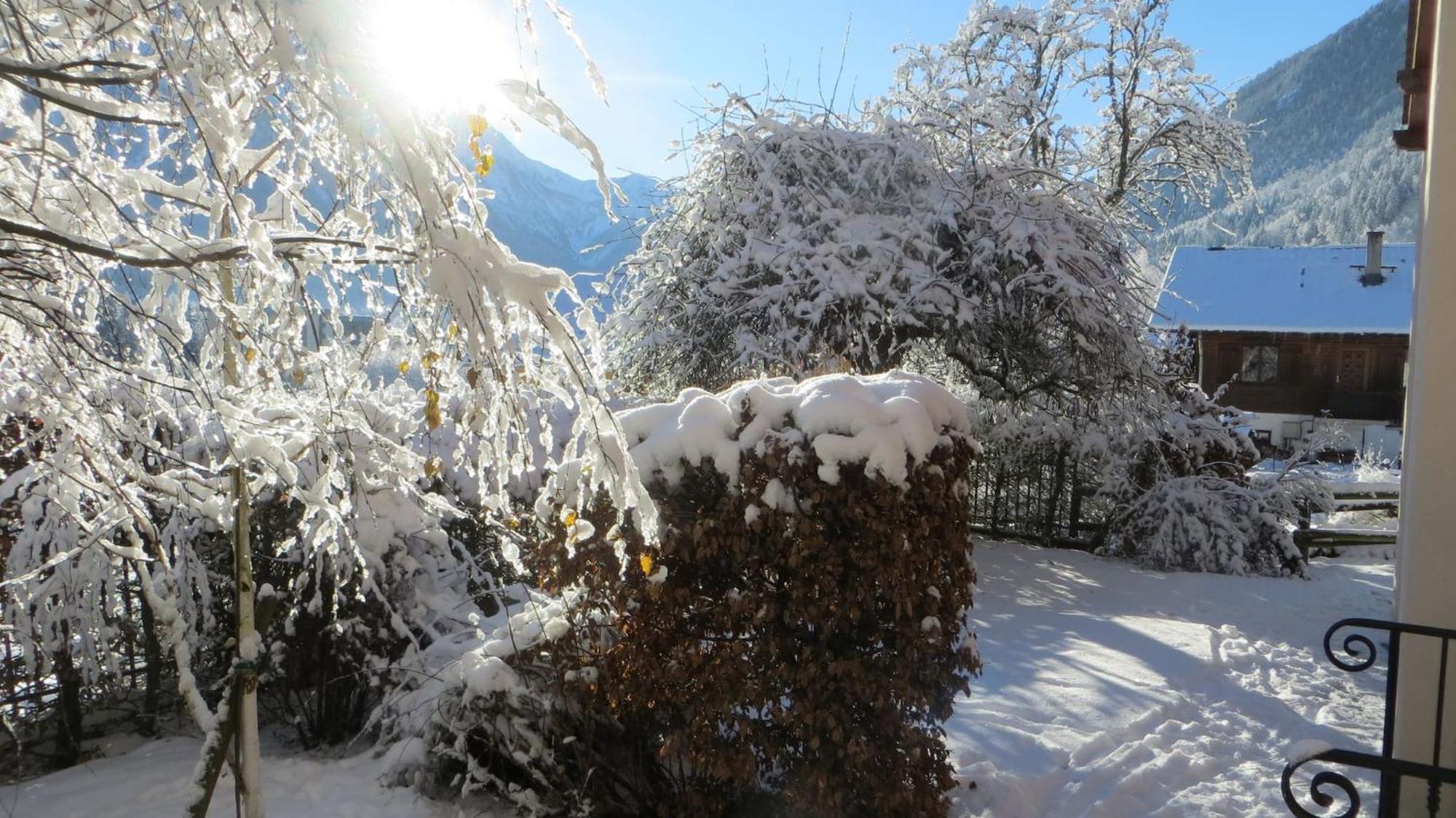Les Alpins - Centre De - Renove Avec Jardin Et Vue Imprenable Sur Le Montblanc Appartement