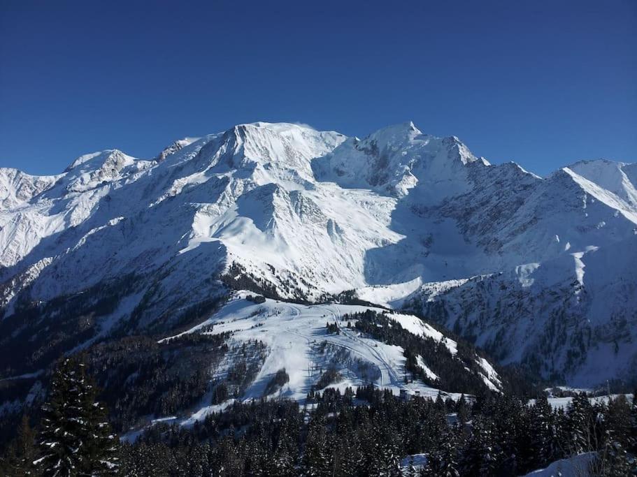 Chalet Des Glaciers Chamonix