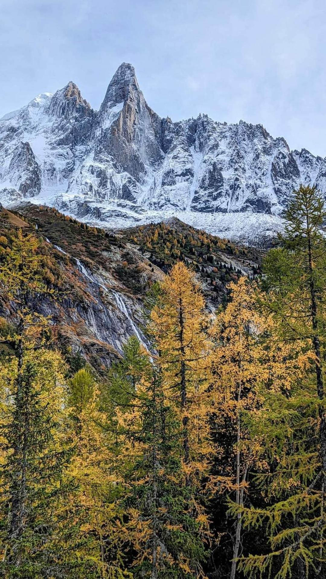 Apartment Happy Moose - Cosy Mont Blanc View