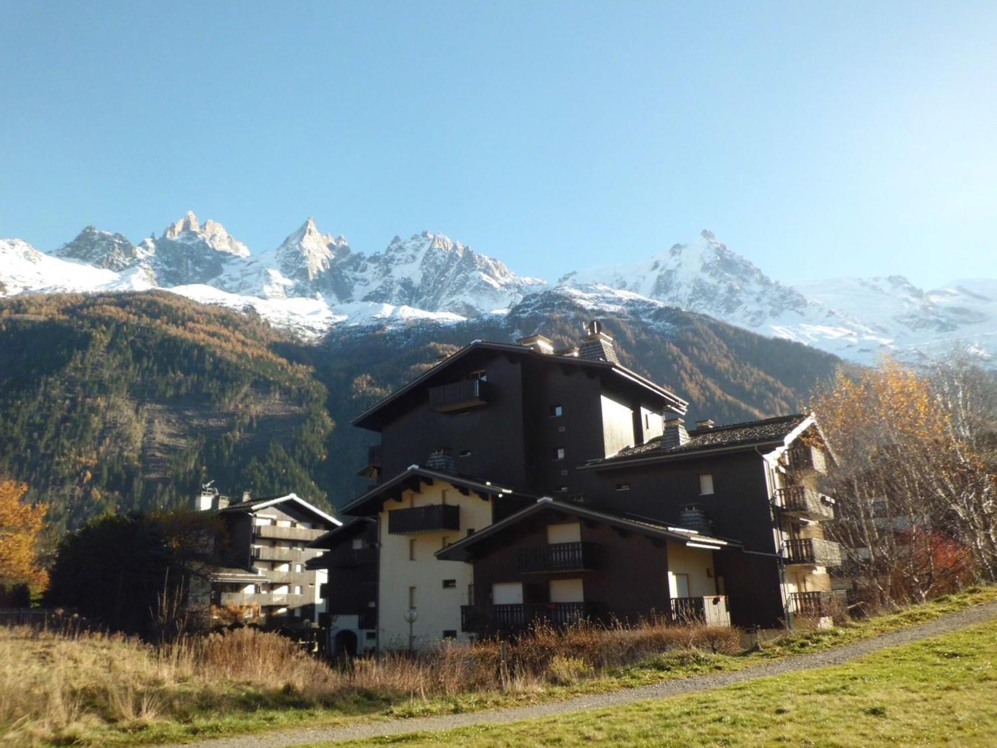 Chamonix, 4 Pers, Proche Pistes, Balcon, Parking, Animaux Admis - Fr-1-517-32 Apartment *