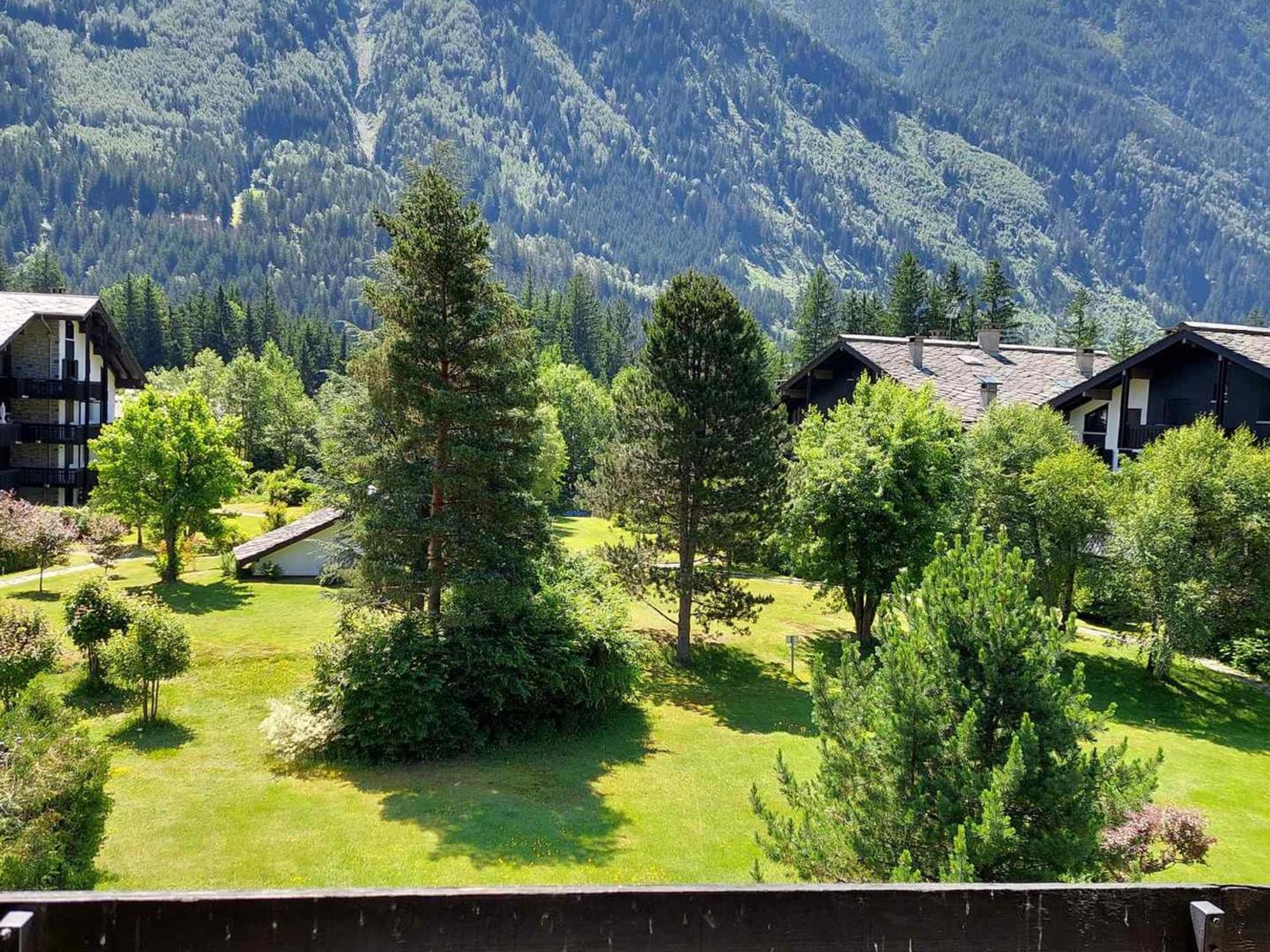 Bel Renove Avec Vue Sur Le Mont-blanc, Parking Couvert, Animaux Admis - Fr-1-517-51 * Chamonix