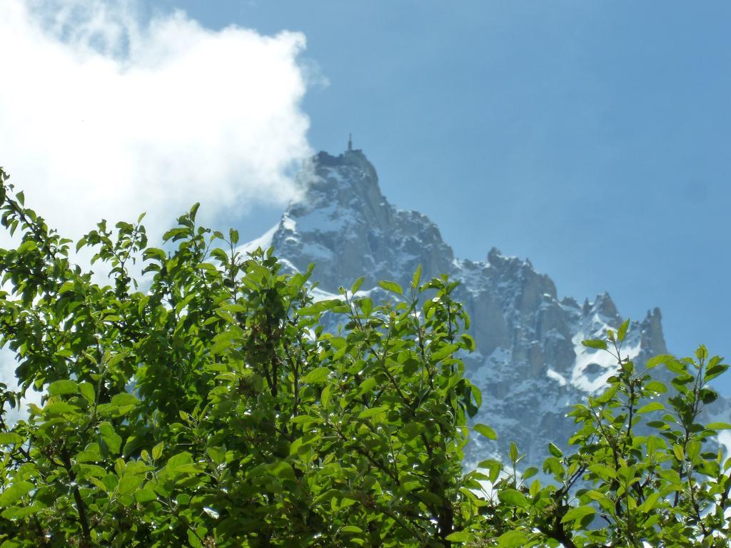 Hotel Aiguille Du Midi - & Restaurant 3*