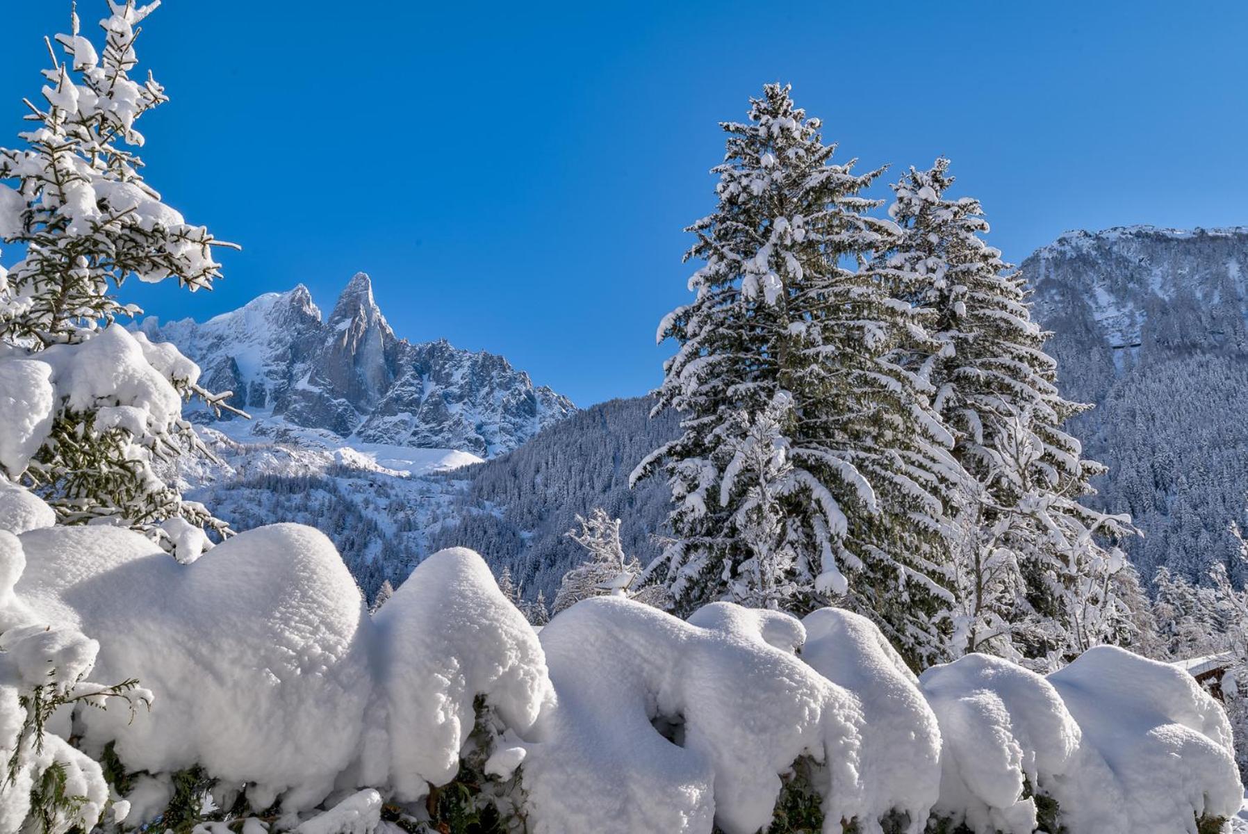 Chalet Black Wood Chamonix
