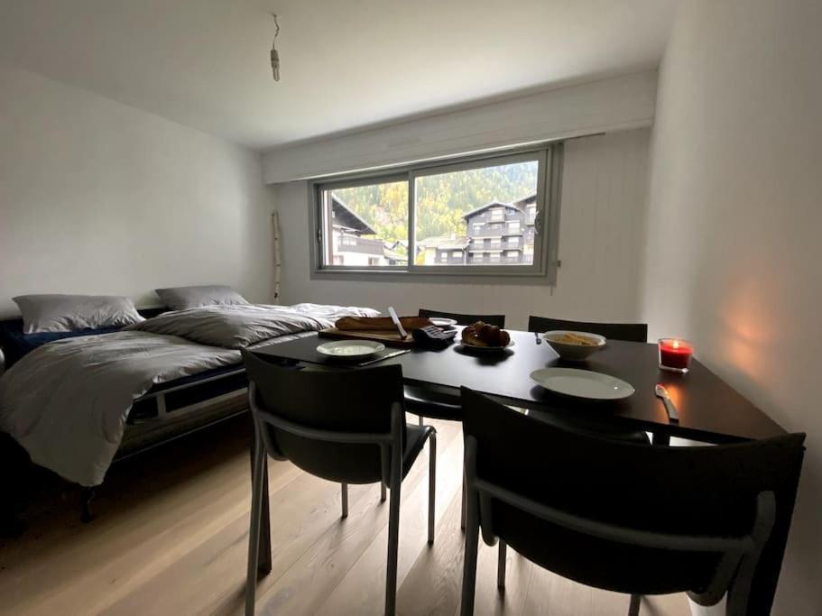 Apartment Centre 1 Piece+ Coin Montagne Chamonix