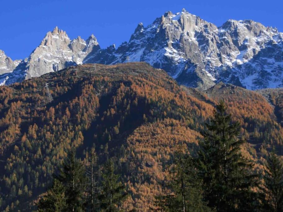 Apartment Centre 1 Piece+ Coin Montagne