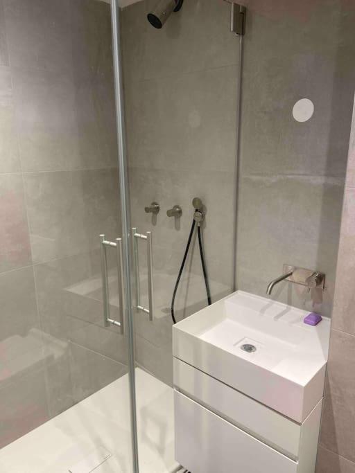 Centre 1 Piece+ Coin Montagne Apartment
