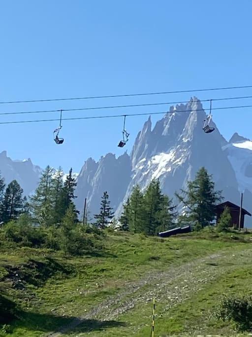 Apartment Centre 1 Piece+ Coin Montagne Chamonix