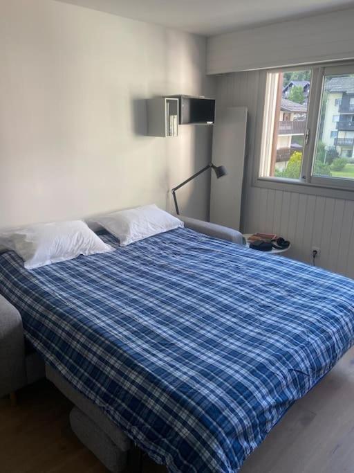 Centre 1 Piece+ Coin Montagne * Chamonix