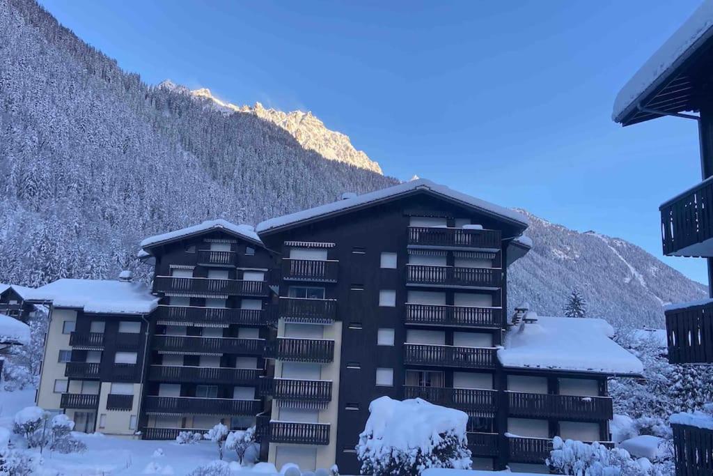 Centre 1 Piece+ Coin Montagne Apartment *