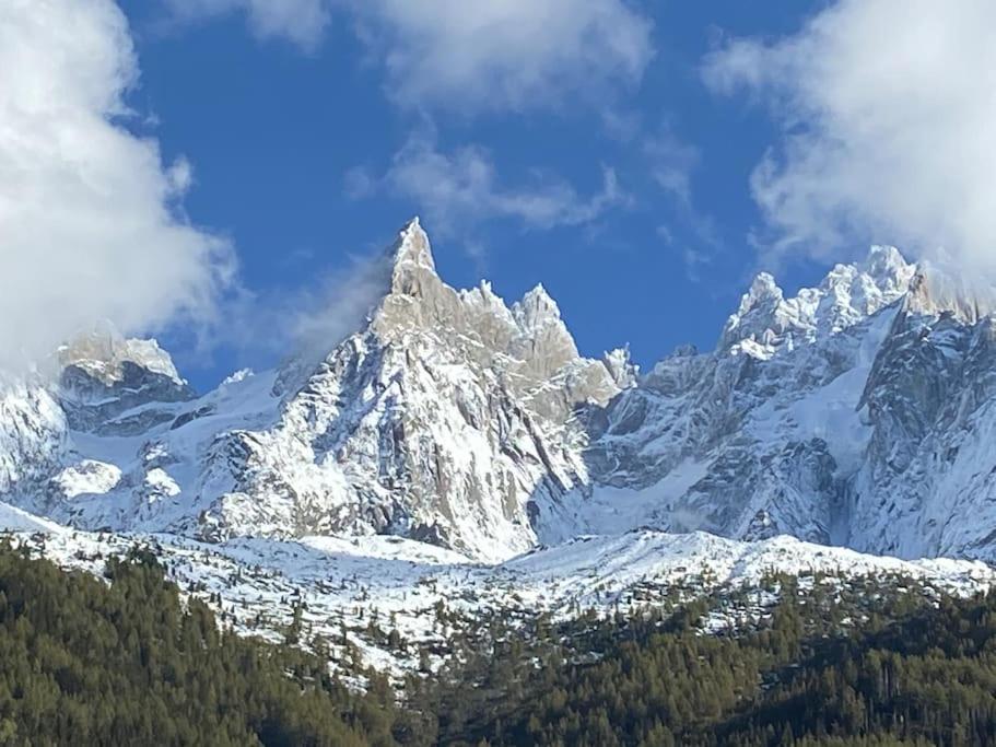 Centre 1 Piece+ Coin Montagne Chamonix