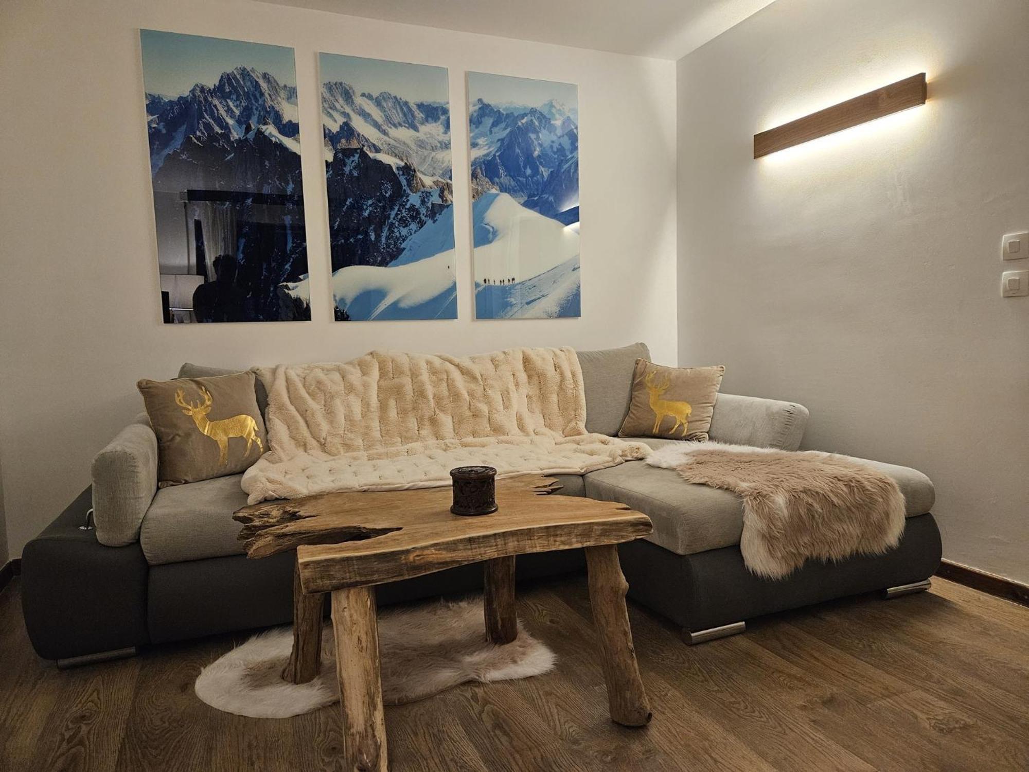 Appartement Cosy, Vue Mont Blanc, Plein Centre Chamonix