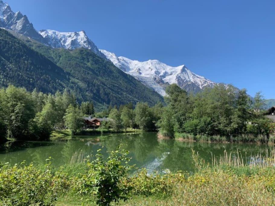 Apartment La Belle Cordee Lujo Y Piscina Chamonix