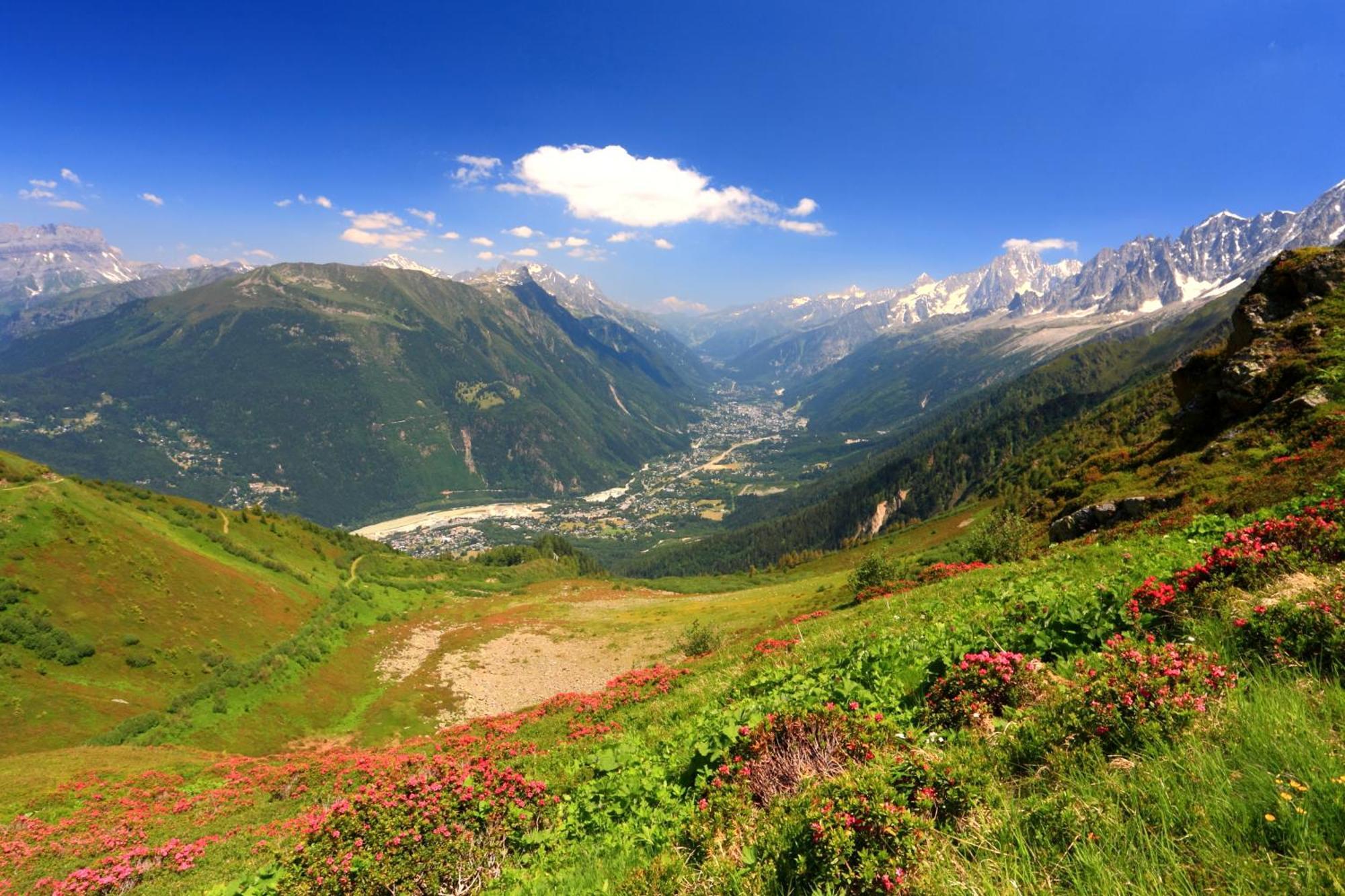 Apartment Garden View Montana - Happy Chamonix