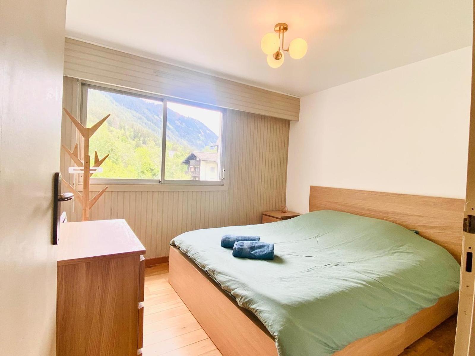 Pied Des Pistes/hyper Centre/balcon/parking Chamonix