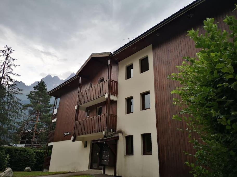 Apartment Chamonix, De 24 M2 *