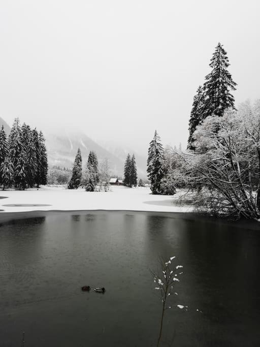 Chamonix, De 24 M2 * Chamonix