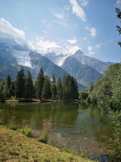 Apartment Chamonix, De 24 M2 *