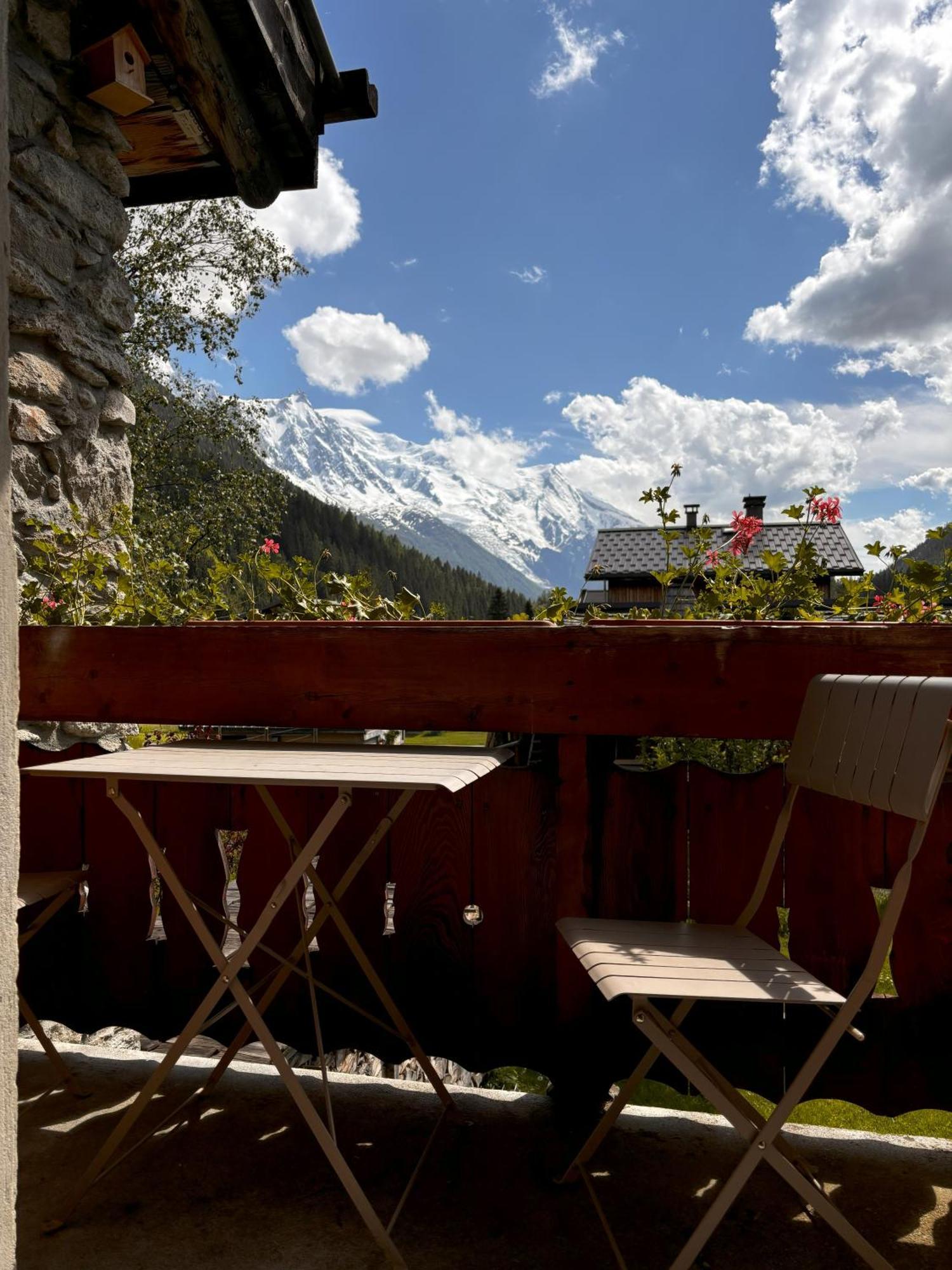 Appartement Chamonix Chamonix