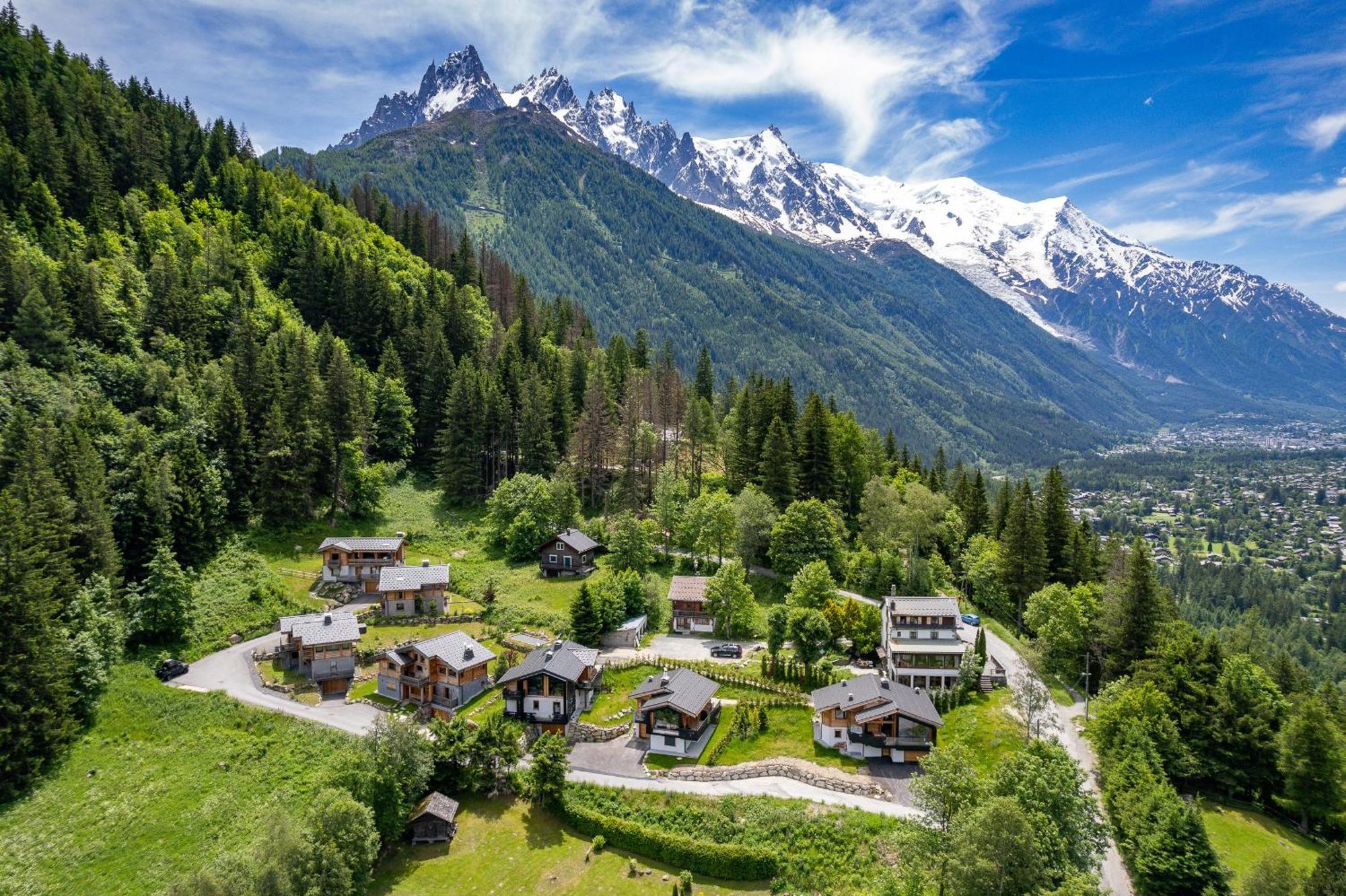 Forest Chamonix