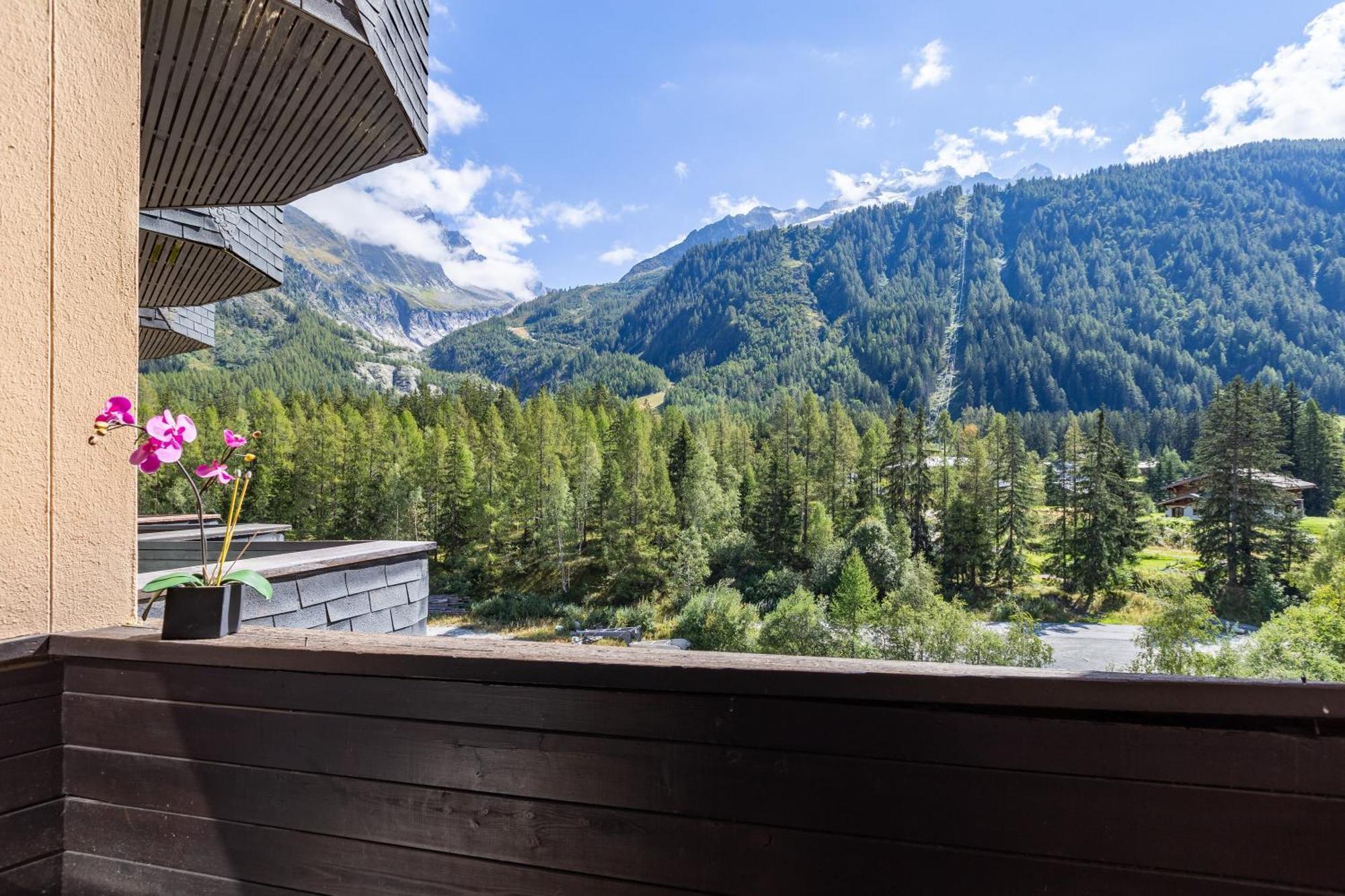Grand Roc - Campanules 314 Happy Apartment Chamonix