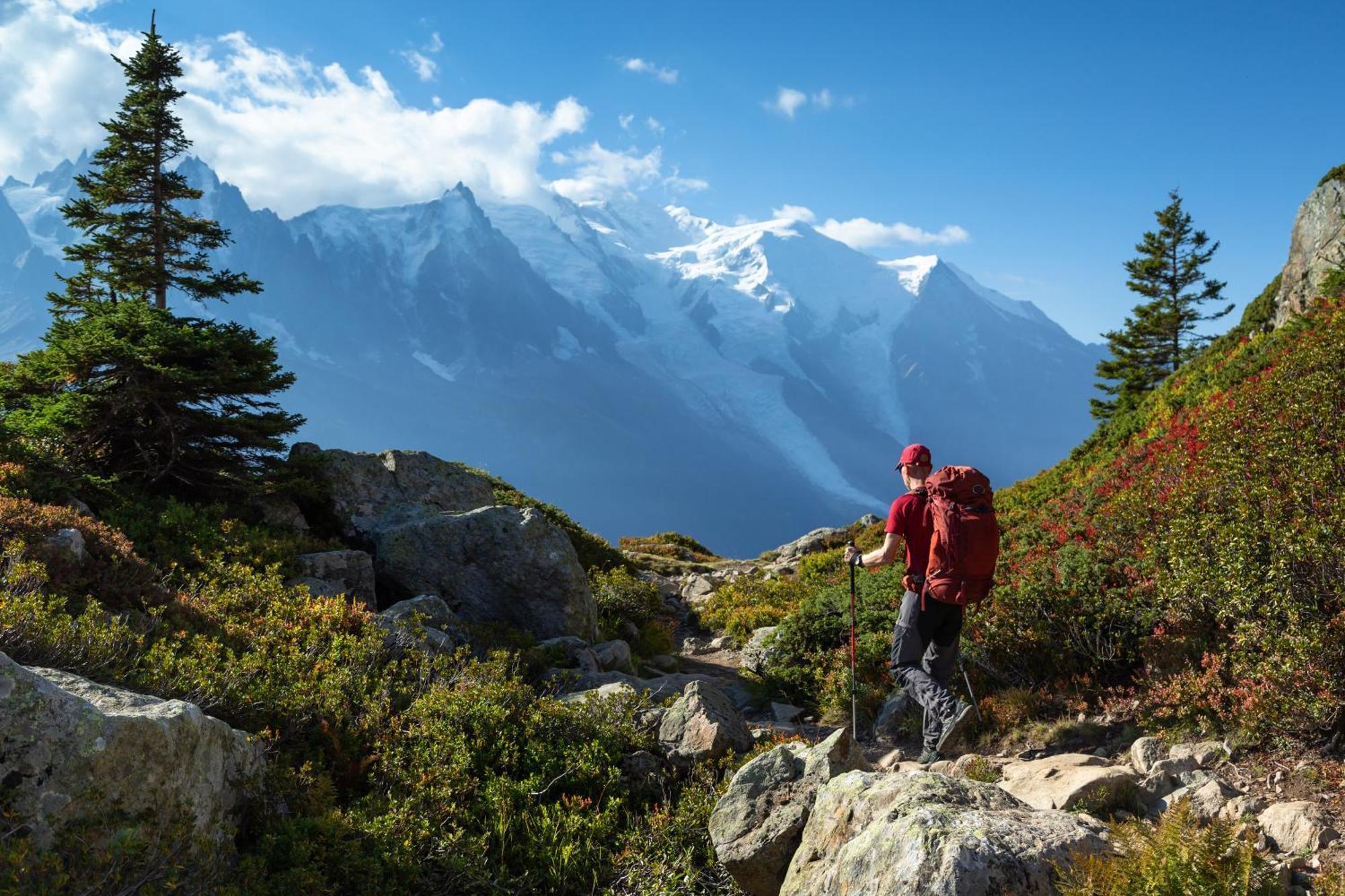 Grand Roc - Ancolies 211 - Happy * Chamonix