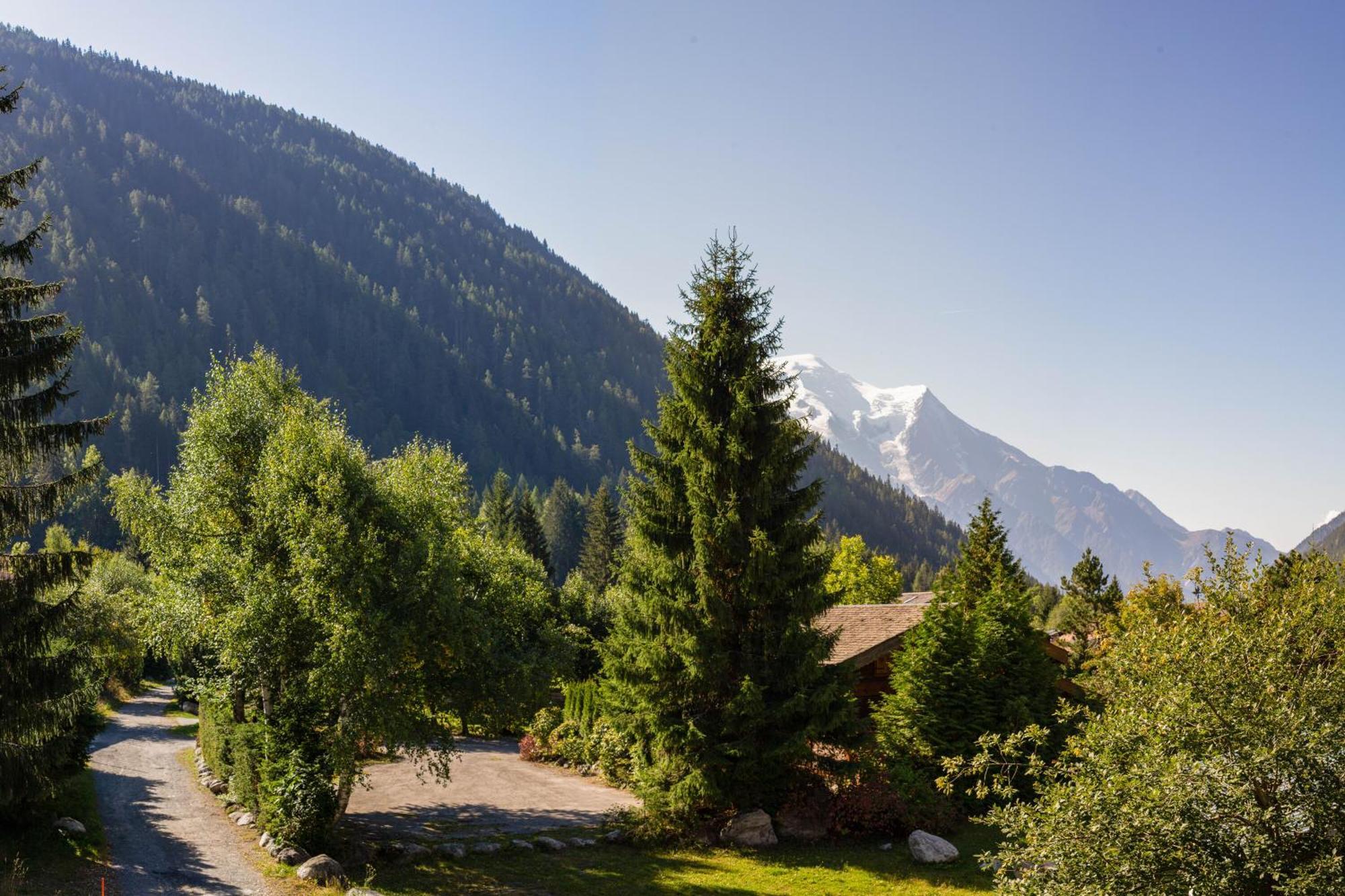 Apartment La Verte 15 In Out - Happy Chamonix