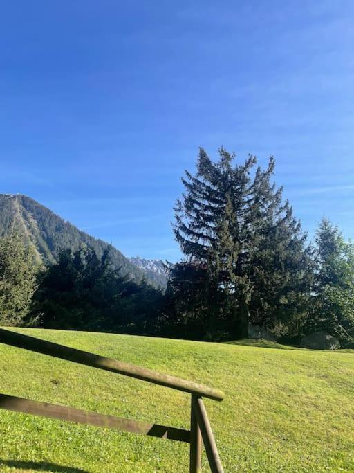 Les 2 Chamois - Duplex A Apartment *