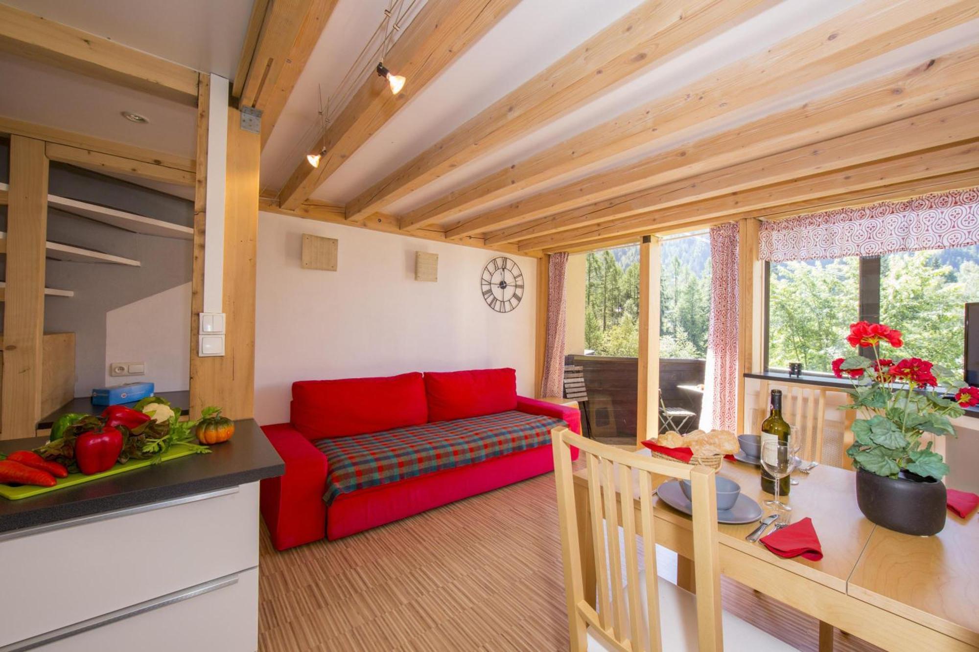 Apartment Grand Roc - Campanules 112 - Happy Chamonix