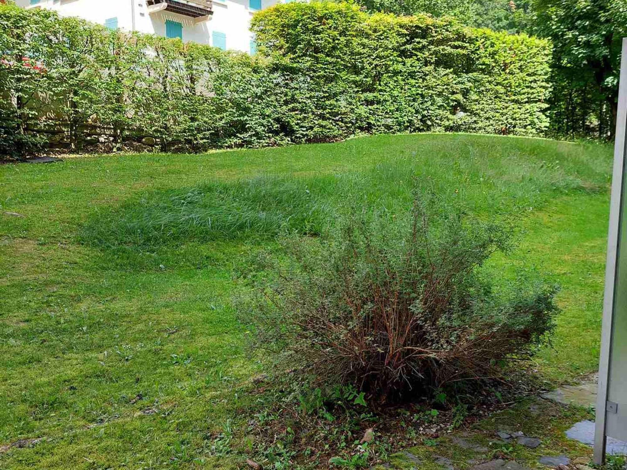 Renove, Proche Centre Et Telecabine, Animaux Admis, Parking - Fr-1-517-3 Apartment
